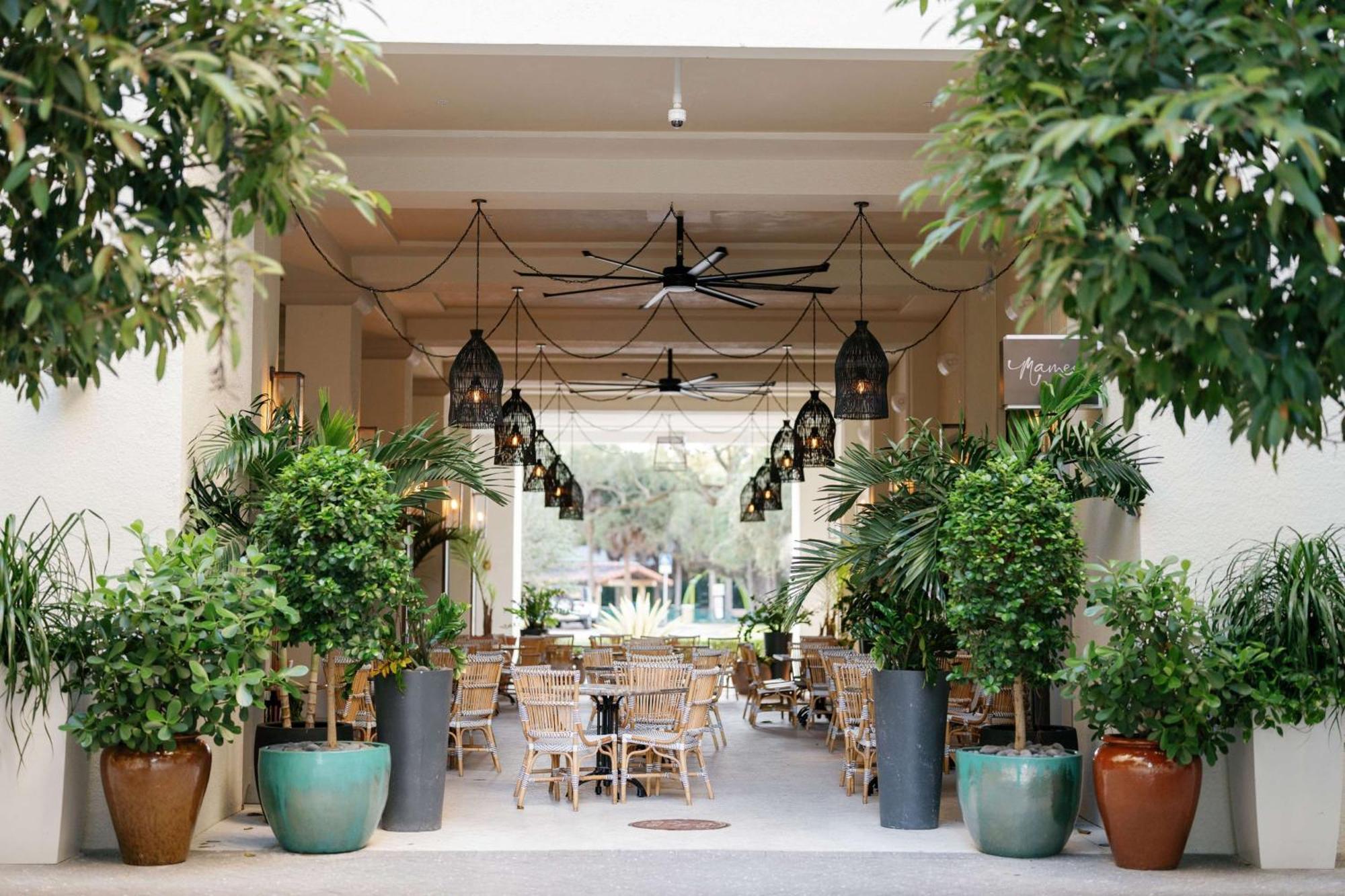 Thesis Hotel Miami Coral Gables, Curio Collection By Hilton Esterno foto